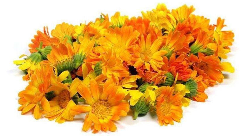 εκχύλισμα calendula στο προώθιο